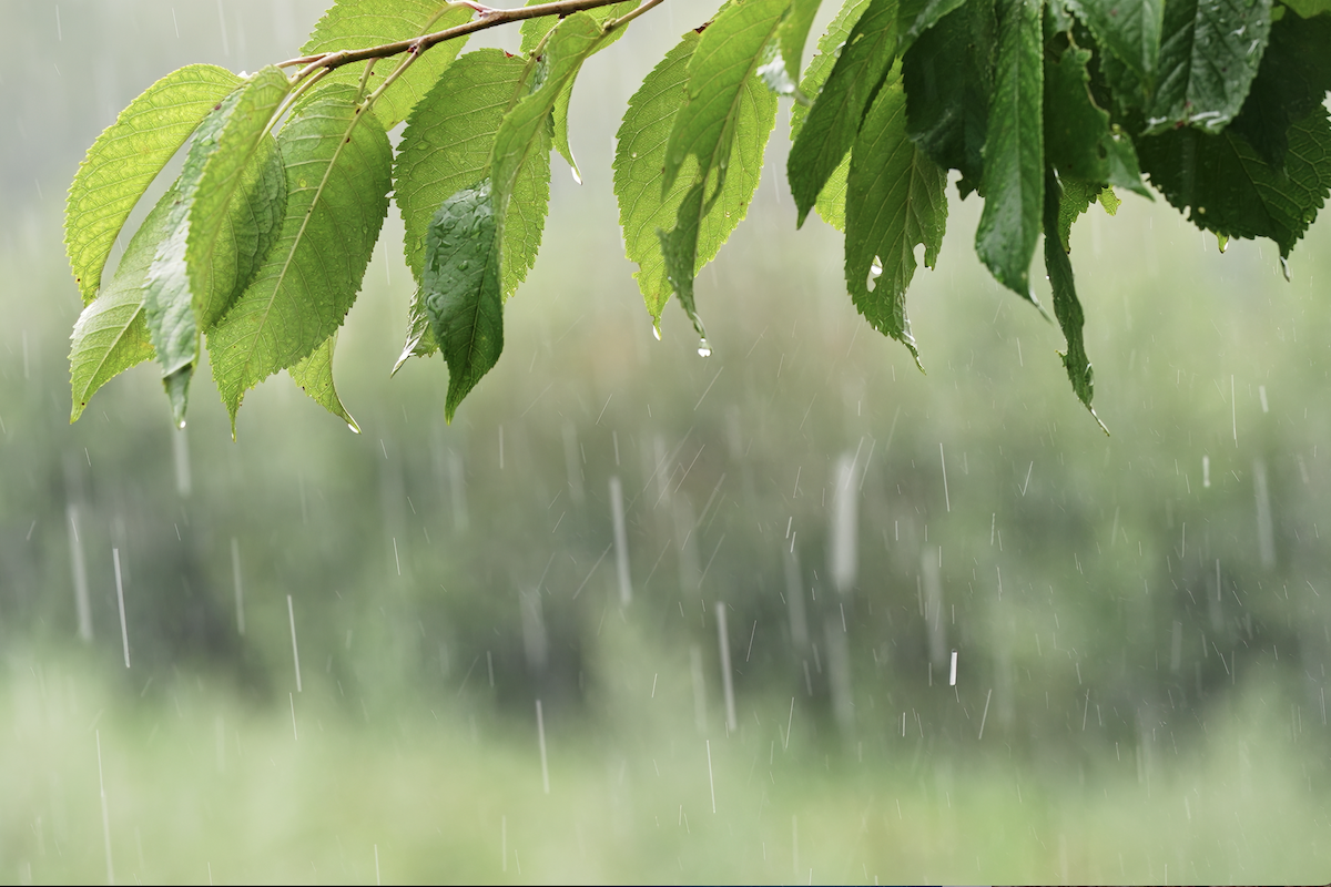 Continúa la inestabilidad climática en Chile con lluvias y tormentas eléctricas
